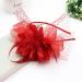 amangul 1920s Medieval Feather Shape Headband Hair Hoop Woman Cosplay Performances Headpiece Festival Party Costume Props(Red) - Buy Online on GoSupps.com