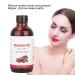 Rosehip Oil 118 ml - Natural Anti-Aging Moisturizing Massage & Spa Essential Oil for Aromatherapy - Buy Online on GoSupps.com