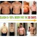 Losing Weight Patch - Fast Fat Burner Slimming Patch for Belly & Waist | 30 PCs Box | Anti-Cellulite Solution - Buy Online on GoSupps.com
