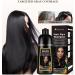 Natural Plant Extract Formula - Hair Dye Shampoo Hassle-free 30-Minute Hair Coloring He Shou Wu Ce Bai Ye & Ginger Infused Nourishing Hair Dye with Fragrant Aroma (Black 500ml) Black 1 count (Pack of 1) - Buy Online on GoSupps.com