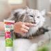 BEAPHAR Garden Feast Paste for Cats - Energy Supply with Cranberry Duck Malt & MOS - 100g - 0% Added Sugar - International Shipping Available - Buy Online on GoSupps.com