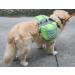 XIAOYU Dog Backpack | Adjustable Saddle Bag Harness Carrier for Travel Hiking & Camping - Green MM Green - Buy Online on GoSupps.com