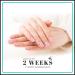 Semi Cured Gel Nail Strips - Long Lasting Nail Polish Stickers - Easy Application - Light Pink - Buy Online on GoSupps.com