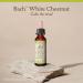 Bach Original Flower Remedies, White Chestnut (Non-Alcohol Formula) - Calm The Mind - Natural Homeopathic Flower Essence for Emotional Balance - Vegan, Gluten Free, Sugar Free - 10mL Dropper - Buy Online on GoSupps.com
