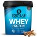 Bodylab24 Whey Protein Powder Rice Pudding-Cinnamon 1kg Rice Pudding-Cinnamon 1 kg (1 pack)