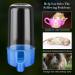 4-Piece Automatic Bird Water Dispenser for Hamster & Parrot - 12 x 5.5 cm - Plain Color - Buy Online on GoSupps.com