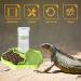 BEANPRECOY Reptile Water Dispenser Turtle Water Bowl 2 in 1 Reptile Automated Feeder Turtle Water Dispenser with Bottle for Turtles Hamsters Lizards Bearded Dragon Snake (Green) - Buy Online on GoSupps.com