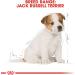 Royal Canin Puppy Food Junior Biscuits for Jack Russell Terrier Puppies Aged 2-10 Months 1.5 kg Bag - Buy Online on GoSupps.com