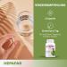 Mary Thistle Capsules - 120 High-Dose Vegan Liver Detox Capsules with Artichoke Dandelion & Vitamin E - 80% Silymarin - Sensilab HepaFar - Buy Online on GoSupps.com