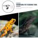 Mipcase Magnetic Reptile Ledge- Crested Gecko Feeding Ledge with 10 Bowls Reptile Feeding Cups Reptile Water and Food Dish with Suction Cup 11.7X6.3X5.7CM - Buy Online on GoSupps.com