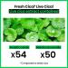 Real Barrier Cica Relief Rx Fade In Serum Mask - 10 Pack | Soothing Hydrating Facial Mask with Centella Asiatica for Sensitive Skin | Redness Relief | Korean Skincare - Buy Online on GoSupps.com