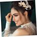 Didiseaon 1 Set Wedding Hair Comb Rhinestone Bobby Pins Tiara Hair Clip Bridal Accessories Rhinestone Headpiece Bride Hair Comb Bride Hair Pin Flower Hair Comb Wedding Headdress - Buy Online on GoSupps.com