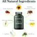 Betterbrand BetterLungs Daily Respiratory Health Supplement - 60 Capsules with Mullein Leaf, Elderberry, Vitamin D, Ginseng, and Reishi Mushroom - Lung Health, Allergy, Sinus, Mucus Relief - Buy Online on GoSupps.com