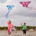 TOY Life Butterfly Kite 2 Pack - Easy to Fly Large Kites for Kids and Adults - Ideal Gift for Children - Great Outdoor Beach Activity - Buy Online on GoSupps.com
