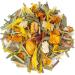  Th s & Traditions Organic Lemon Basil Herbal Tea | Bag 100g Bulk | Certified Organic  - Buy Online on GoSupps.com