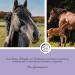 Annimally Monk Pepper Liquid for Horses 1000ml - Ashwagandha & Magnesium for Hormonal Restlessness & Rose Behavior - Liquid Alternative to Powder - Buy Online on GoSupps.com