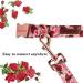 Buy Unique Style Paws Dog Collar with Flower Motif - Durable Cotton Dog Collars for Small Medium & Large Dogs - Peony Design Perfect for Training - Buy Online on GoSupps.com