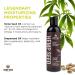 Hemp Seed Massage & Body Oil - Nourishing Vegan Oil with Apricot & Almond - 8 fl. oz. - Moisturizing & Cruelty Free Lavender - Buy Online on GoSupps.com
