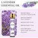 Aoruilia 10ml Lavender Essential Oil 100% Pure Natural - Undiluted Lavender Oil Aromatherapy Essential Oils for Diffuser for Home Fragrance Sleep Massage Bath Skin Care Soaps & Candles Making Lavender 10 ml (Pack of 1) - Buy Online on GoSupps.com