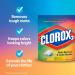 Clorox2 Stain Fighter & Color Booster 40 ct - Multi-Purpose Stain Remover for Bright Colors | International Shipping Available - Buy Online on GoSupps.com