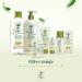 Le Petit Olivier Moisturizing Day Skin Care | Olive Oil-Enriched Soothing & Hydrating | Natural Ingredients | Silicone Free | For Normal to Dry Skin | 1.6 oz - Buy Online on GoSupps.com