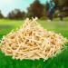 Golf Tees Wood Pack of 50 - Professional Bamboo 3-1/4 Inch Long Golf Tees & 2-1/8 Inch Short Wooden Golf Tees Biodegradable - Reduce Friction & Side Spin - for Driver Golf Accessories