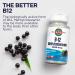 KAL Vitamin B-12 Methylcobalamin Lozenges 5000mcg - Healthy Energy & Metabolism Support - Vegan & Sugar-Free - 60 Servings - Buy Online on GoSupps.com