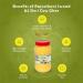 Rajasthani Swaad A2 Desi Cow Ghee 500 ml | Authentic Bio-Desi Ghee | Vedic Bilona Process for Pure Taste - Buy Online on GoSupps.com