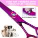 Jason Profi Curved Dog Scissors - 7.5 Japanese Stainless Steel Pet Fur Care Scissors (Purple) for Professional Grooming - Buy Online on GoSupps.com