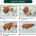 Kuoser Dog Sweater for Small Dogs | Soft & Stylish Pet Clothing | Thin Dog Jacket & Pajamas - Buy Online on GoSupps.com
