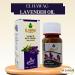 bonballoon Lavender Oil Pure & Natural Cold Pressed Al Hawaj El Hawag Original For Facial Body Food Kitchen Herbal Herb Non Gmo Kosher Halal (1 Pack 1.01 oz / 30 ml)  - Buy Online on GoSupps.com