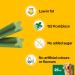 Pedigree Dentastix Fresh Dental Chews for Large Dogs 25 kg+, 28 Sticks - Buy Online on GoSupps.com