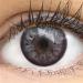 Buy Natural Lucca Gray Contact Lenses - Silicone Comfort 14.00mm 0.00 Diopters | International Shipping Available - Buy Online on GoSupps.com