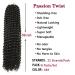 Ubeleco Passion Twist Hair 18 Inch Water Wave Crochet Hair | 22 Strands/Pack | Long Bohemian Hair for Black Women | 6 Packs | 1B - Buy Online on GoSupps.com