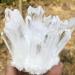 NAKOUULF Natural White Quartz Crystal Cluster Specimen Suitable for Home HOMEZHOU (Size : 250-300g) - Buy Online on GoSupps.com