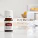 Vitality Thieves Essential Oil 5ml - Young Living | Premium 100% Pure Clove Lemon & Cinnamon Blend for Immunity & Wellness - Buy Online on GoSupps.com