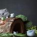 Hamster Bowl- Small Animal Food Dish Hamster Water Bowl for Bunny Guinea Pig Hamster Chinchilla Rabbit Blue - Buy Online on GoSupps.com