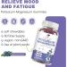 2 Pack Potassium Magnesium Gummies, Sugar-Free Potassium Gummies with Magnesium Glycinate 500mg Chewable Potassium Magnesium Supplements with Calcium, Zinc & Vitamins to Support Leg Muscle Relaxation Blueberry 60 Count (Pac  - Buy Online on GoSupps.com