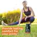 Daiwa Joint Health Supplement - Natural Support for Joint Care - Vegetarian Capsules 30 Count - Buy Online on GoSupps.com