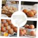 CORHAD Egg Preservation Tray Box Eggs Egg Holder for Fridge Plastic Serving Trays Refrigerator Egg Rack Dog Crisper re-usable - Buy Online on GoSupps.com