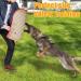 Dog Bite Training Set - Dog Bite Sleeve Dog Bite Pillow Tug Toy Dog Training Stick - Professional Training Equipment for Training Biting Interactive Fetch K9 Puppy (Transverse Stripe) Striped - Buy Online on GoSupps.com