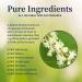 BioPure Japanese Knotweed Herbal Tincture - Potent Botanical Extract for Liver & Immune Support - 2 fl oz - Buy Online on GoSupps.com