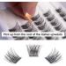 Lanciley Individual Lashes CC Curl DIY Eyelash Extension Kit - 45 Clusters with Glue & Tweezers - Easy to Use for Makeup Beginners - Fluffy Style - Buy Online on GoSupps.com