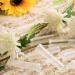 100 Pack Floral Water Tubes | Plastic Vials for Small Roses | Stem Water Tube Holder | Florist Supplies for Flower Arrangements | 10ml - Buy Online on GoSupps.com