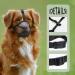 Breathable Dog Muzzle for Small Medium & Large Breeds - Prevents Biting & Chewing - Rounded Mesh Design (S Gray) - Buy Online on GoSupps.com