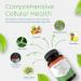 ITIS Natural Inflammation and Joint Pain Support - 180 Capsules | Return Healthy - Buy Online on GoSupps.com