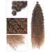 22 Inch Deep Twist Crochet Hair - 3 Pack Ocean Wave Curly Bohemian Braids | Synthetic Hair Extensions for Women & Girls - T27# - Buy Online on GoSupps.com