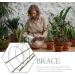Yardwe 3 Sets Plants for Outside Plant Trellis for Climbing Plants Outdoor Scaffolding Pergola Rose - Buy Online on GoSupps.com