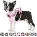 Eyin dog harness for medium-sized dogs adjustable breathable reflective padded and breathable breast dishes with handle and front bracket for daily training (pink m) m (neck: 37-50cm breast: 40-68cm) pink)
