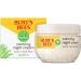 BURT'S BEES Calming Night Cream with aloe and Rice milk,1.8 oz Night Cream for Sensitive Skin 1.80 Ounce (Pack of 1)